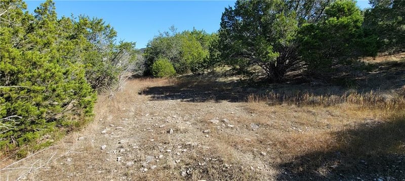 22317 Briarcliff DR, Spicewood, TX 78669