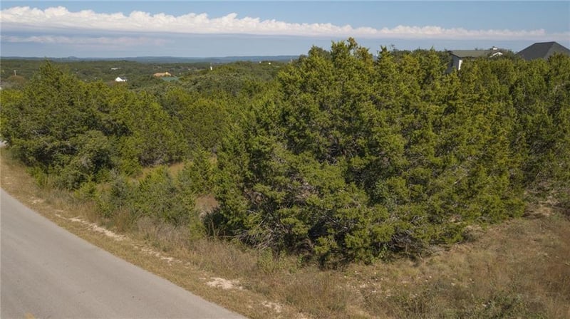 22317 Briarcliff DR, Spicewood, TX 78669