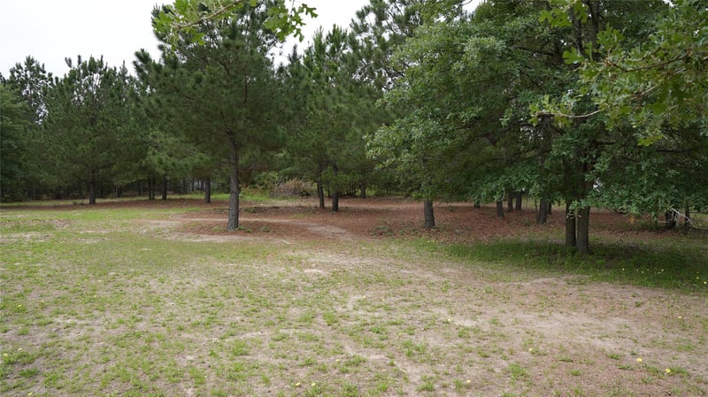 TBD Buckhorn DR, Bastrop, TX 78602