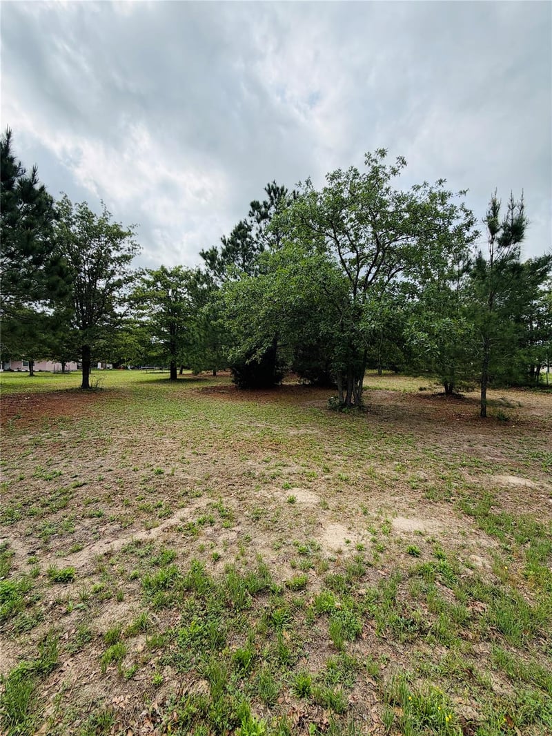 TBD Buckhorn DR, Bastrop, TX 78602