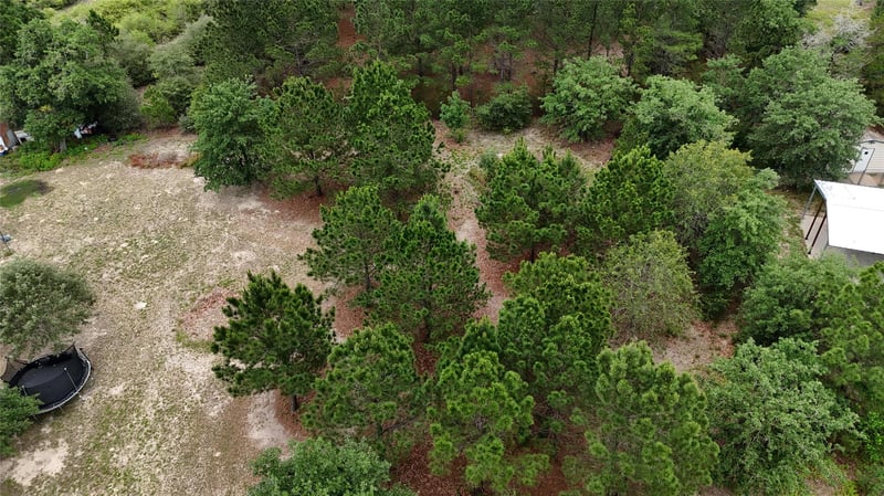 TBD Buckhorn DR, Bastrop, TX 78602