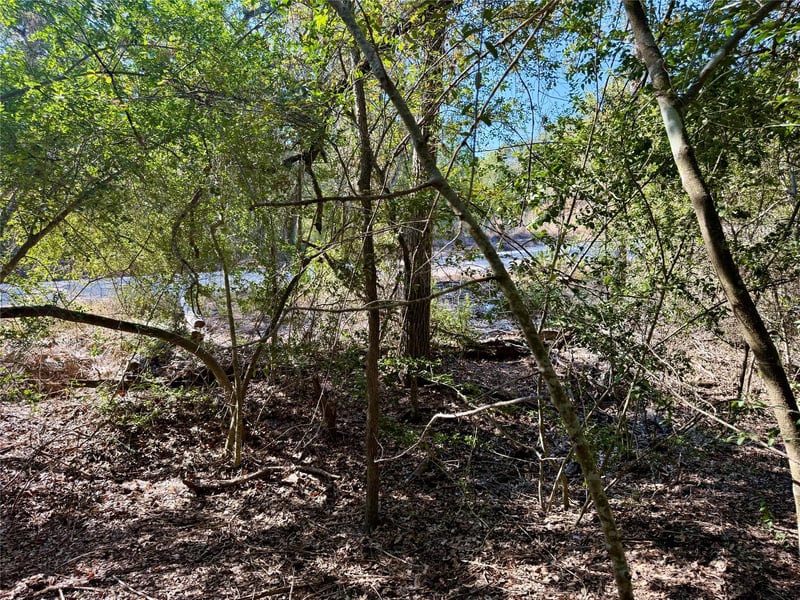 TBD Lot 1233 Hanauma DR, Bastrop, TX 78602