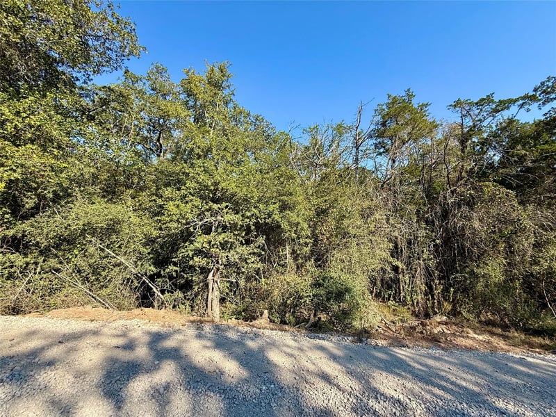TBD Lot 1233 Hanauma DR, Bastrop, TX 78602