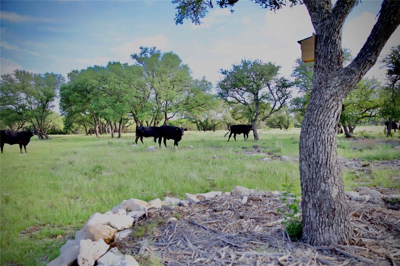Lot 33 Starfall DR, Lampasas, TX 76550