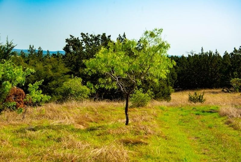 203 Rheingold School RD, Fredericksburg, TX 78624