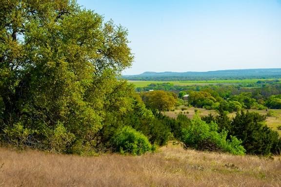 203 Rheingold School RD, Fredericksburg, TX 78624