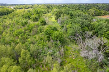 398 Fm 1911 , Alto, TX 75925