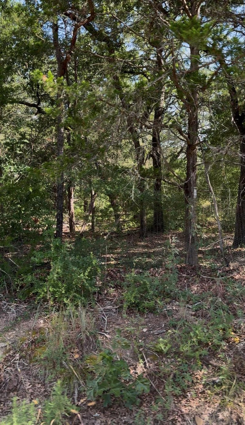 314 Green Oaks DR Lot 14-A, Bastrop, TX 78602