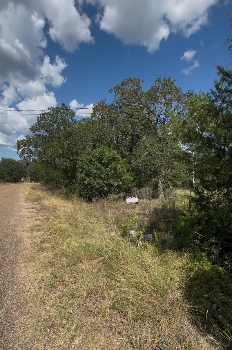 314 Green Oaks DR Lot 14-A, Bastrop, TX 78602