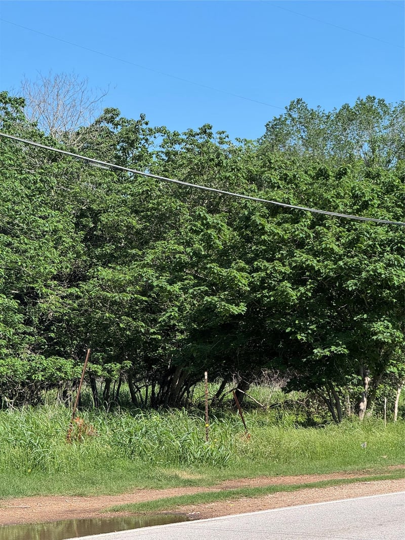 600 Gazley ST, Smithville, TX 78957