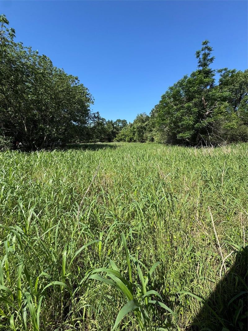 600 Gazley ST, Smithville, TX 78957