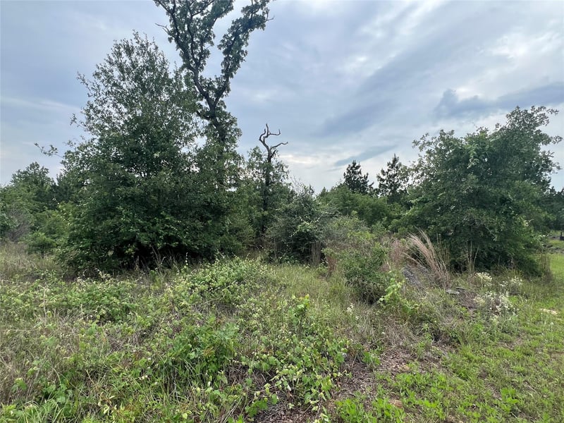TBD Blue Jay RD, Bastrop, TX 78602