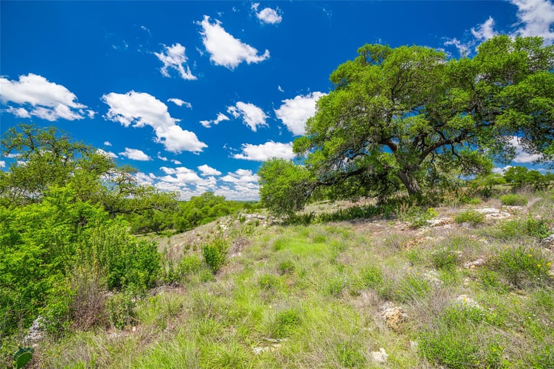 262 Cuesta Ps, Driftwood, TX 78619