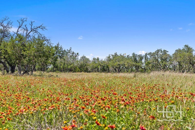 59 Balcones DR, Johnson City, TX 78636