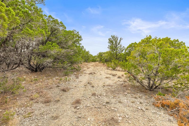 1216 Overland Stage RD, Dripping Springs, TX 78620