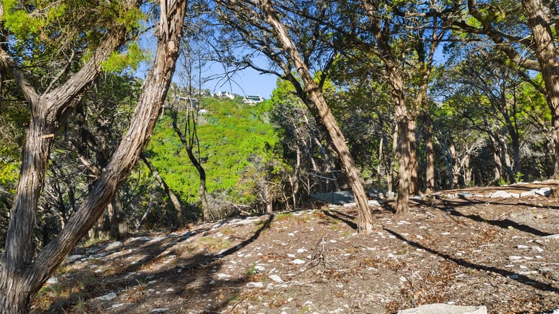 3 Martelli LN, West Lake Hills, TX 78746