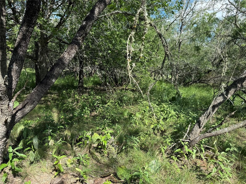 232 Mokulua LN, Bastrop, TX 78602