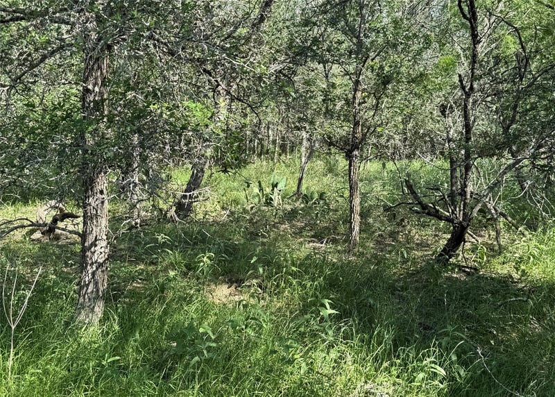 232 Mokulua LN, Bastrop, TX 78602
