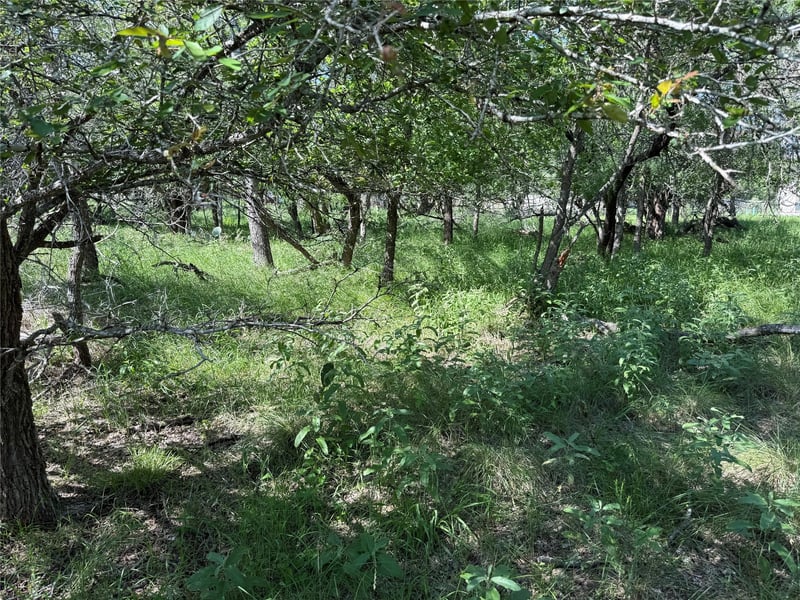 236 Mokulua LN, Bastrop, TX 78602