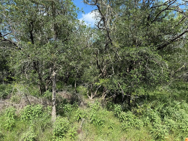 236 Mokulua LN, Bastrop, TX 78602