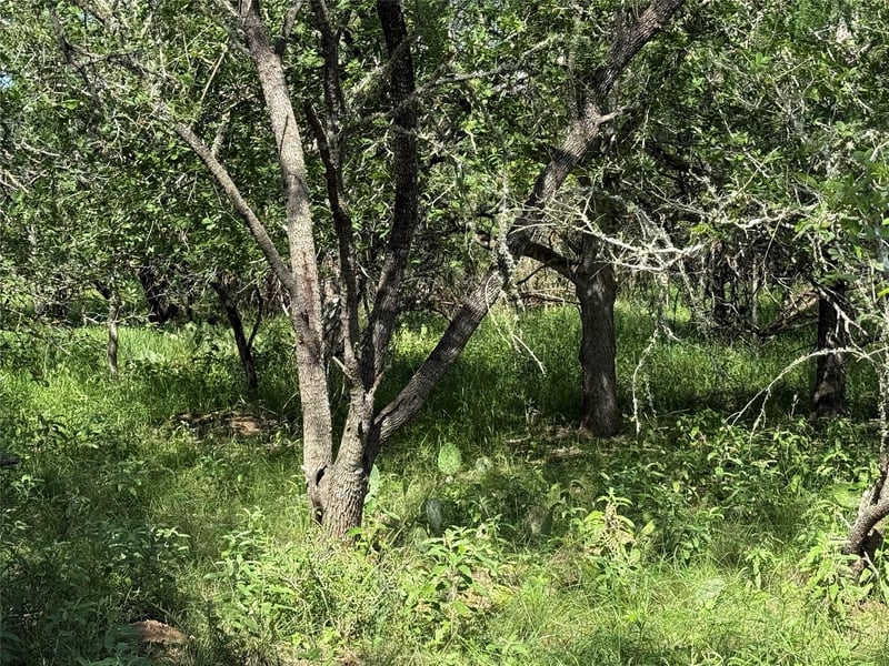 236 Mokulua LN, Bastrop, TX 78602