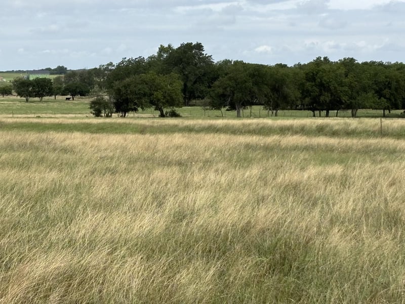 700 County Road 330 RD, Granger, TX 76530