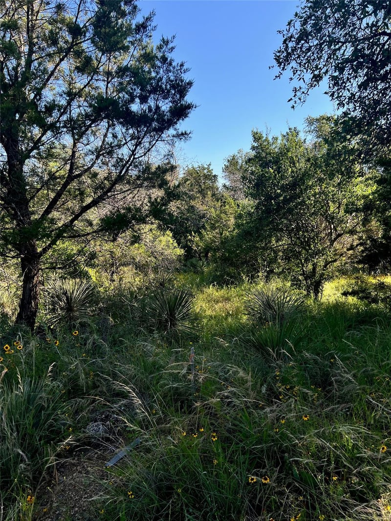 TBD Castlelake DR, Granite Shoals, TX 78654