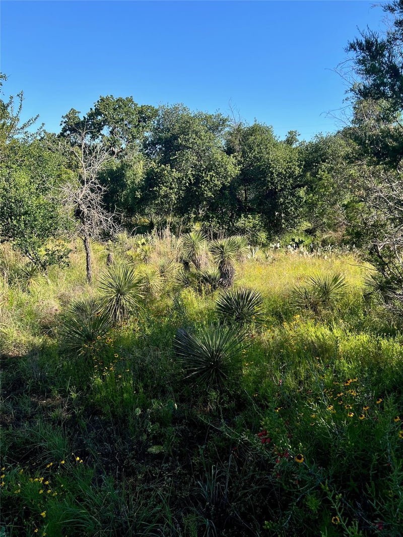 TBD Castlelake DR, Granite Shoals, TX 78654