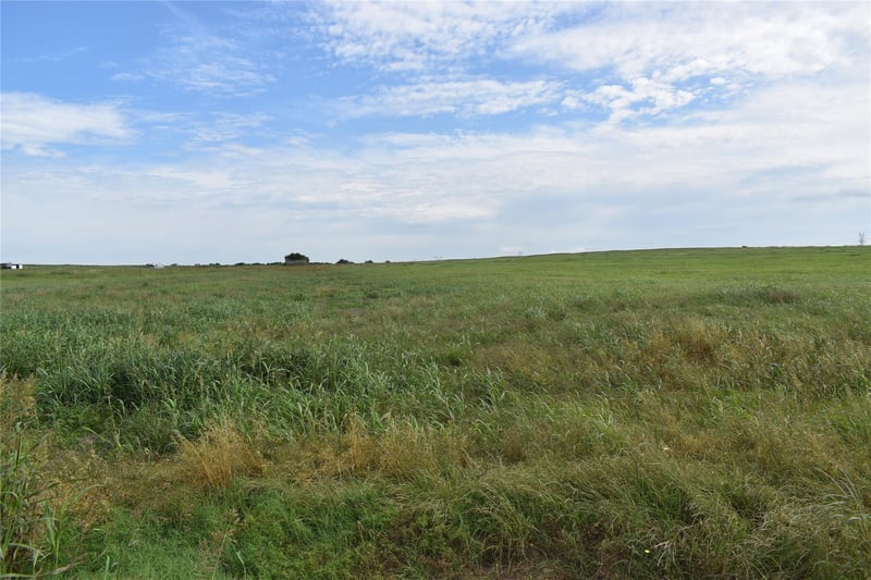 427 County Road 158, Georgetown, TX 78626