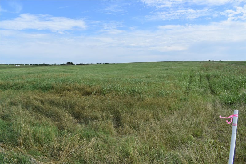 427 County Road 158, Georgetown, TX 78626