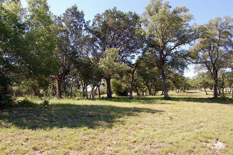 Rio Gabriel, Liberty Hill, TX 78642