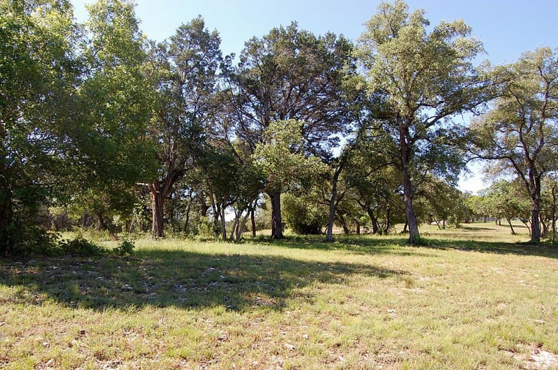 Rio Gabriel, Liberty Hill, TX 78642