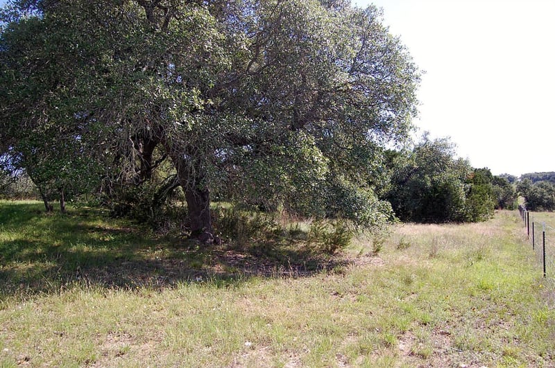 Rio Gabriel, Liberty Hill, TX 78642