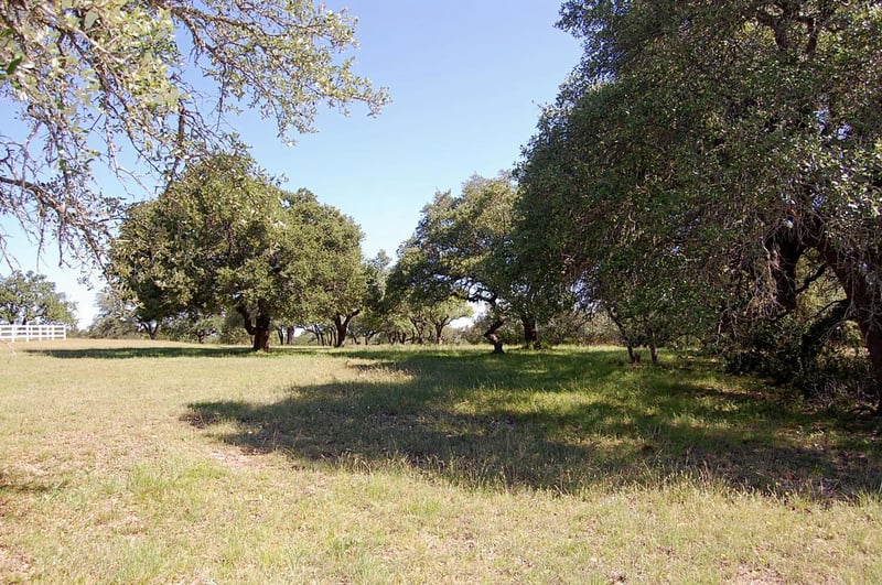 Rio Gabriel, Liberty Hill, TX 78642