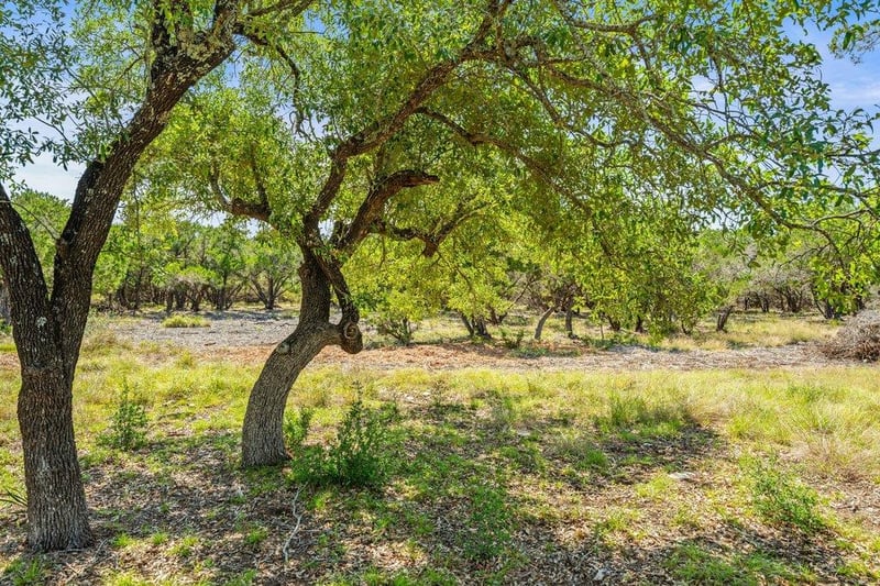 300 Stonegate LN, Dripping Springs, TX 78620