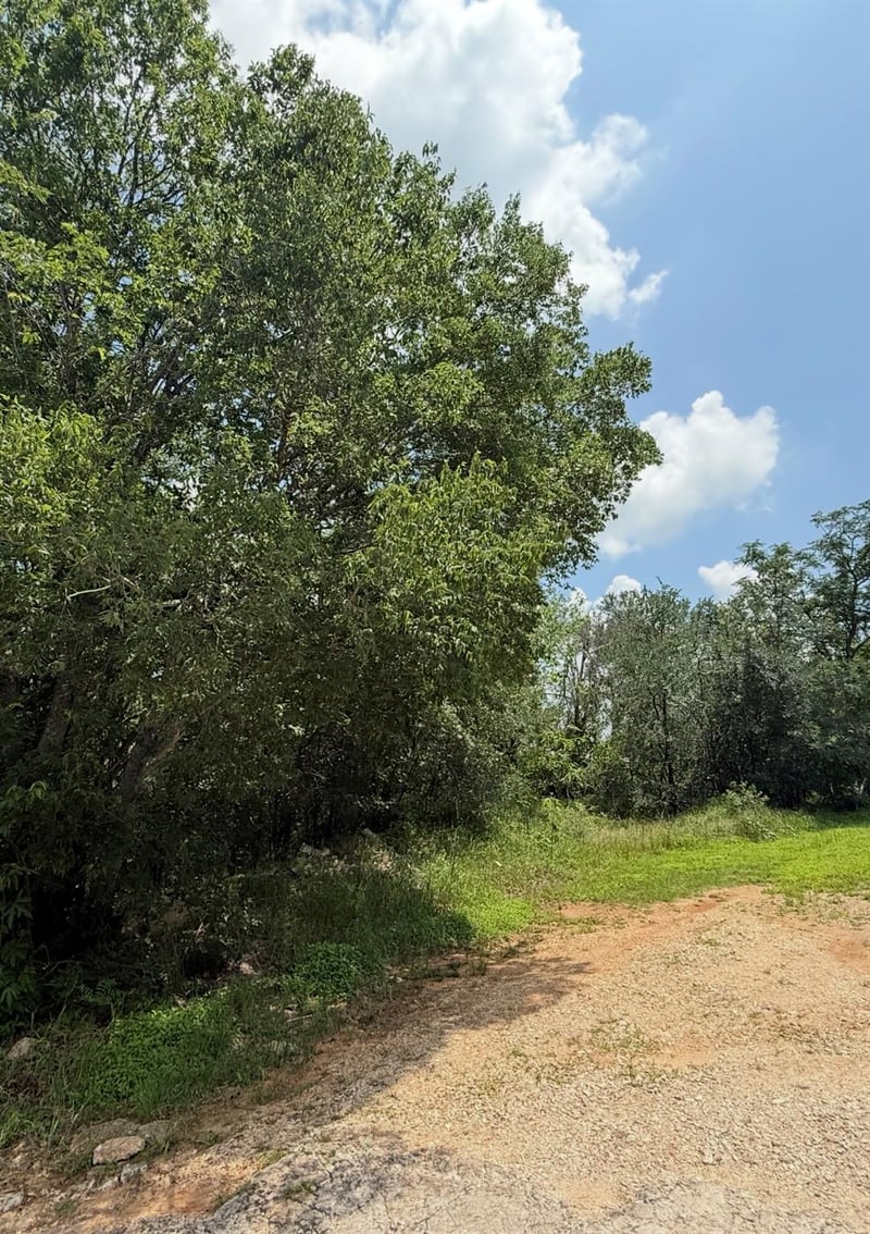 135 Jackson ST, Elgin, TX 78621