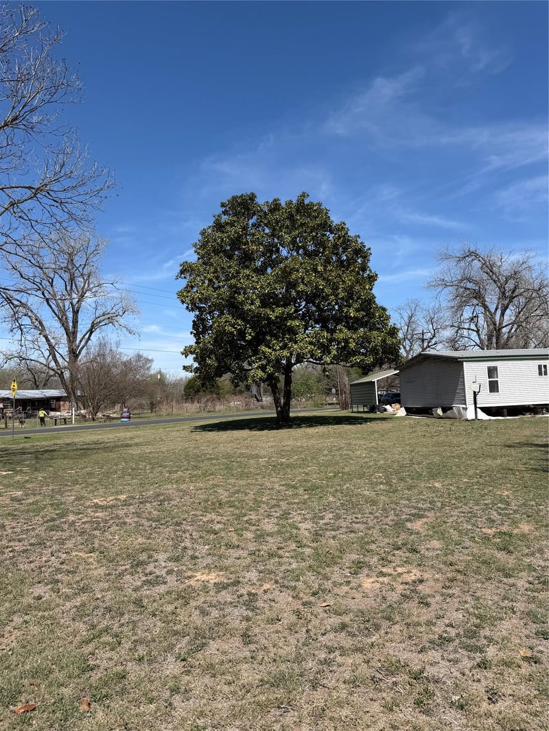 1603 Man O War DR, Del Valle, TX 78617
