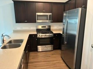 13803 Tordillo DR, Elgin, TX 78621