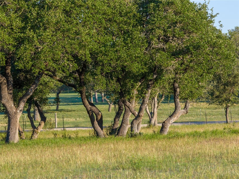 TBD Mount Sharp Rd, Wimberley, TX 78676