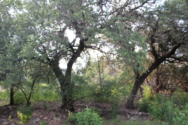 738 Deckhouse DR, Point Venture, TX 78645