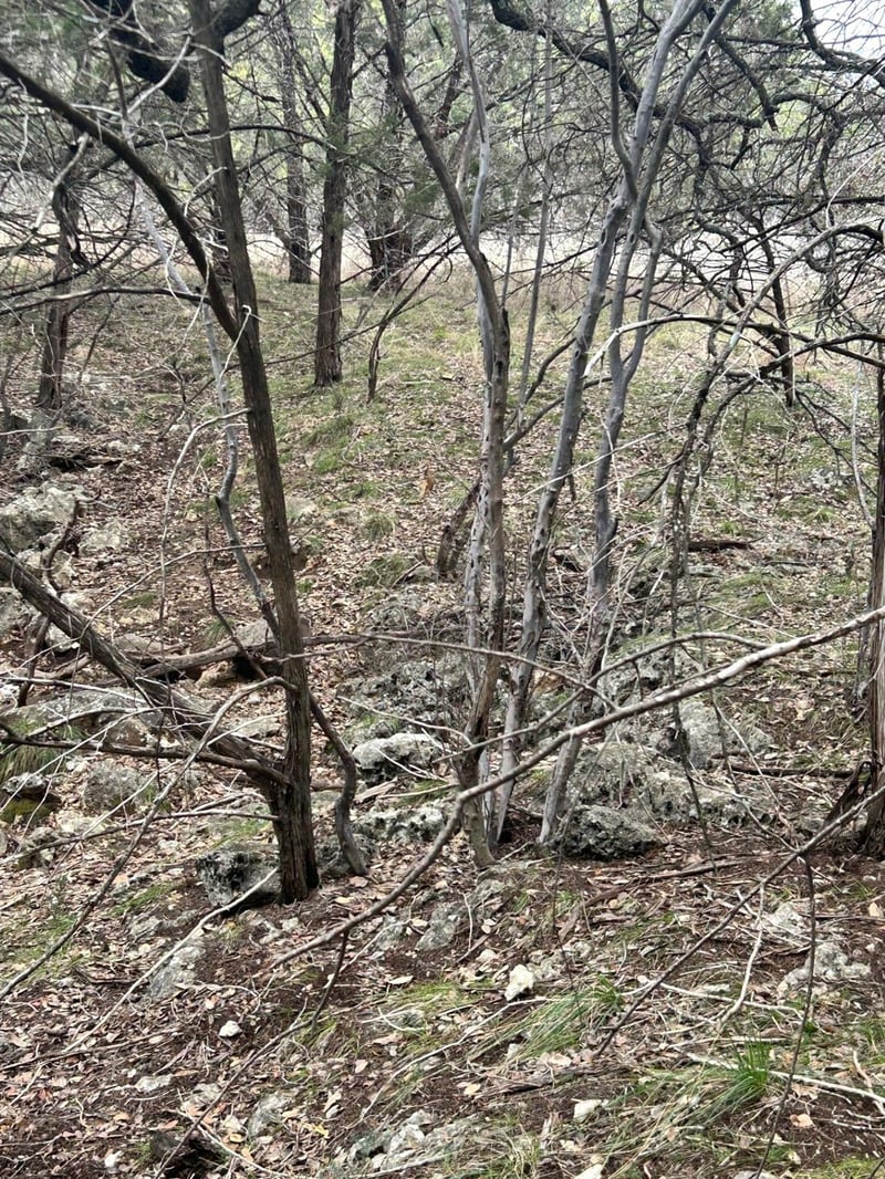 21502 Cardinal Ave, Leander, TX 78645