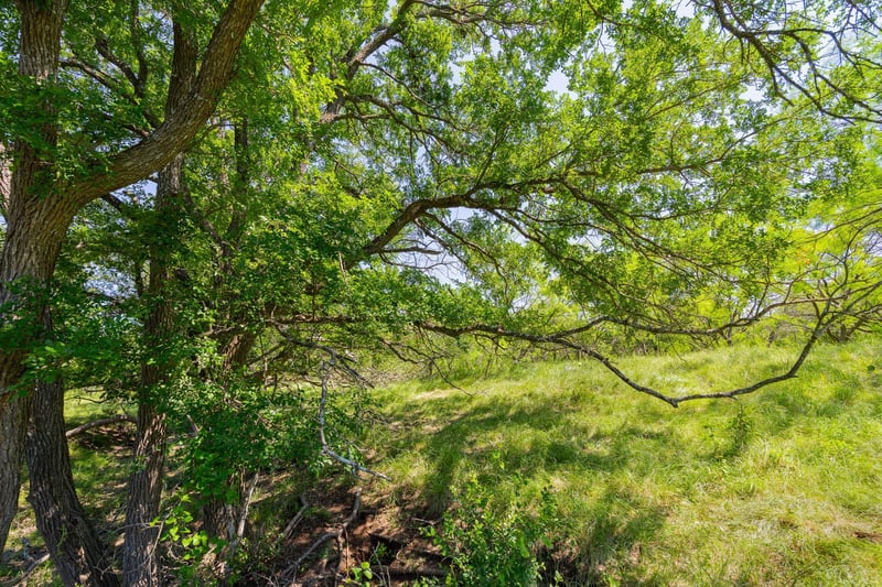 TBD County Road 180 Covered Meadows Ranch RD, Purmela, TX 76566