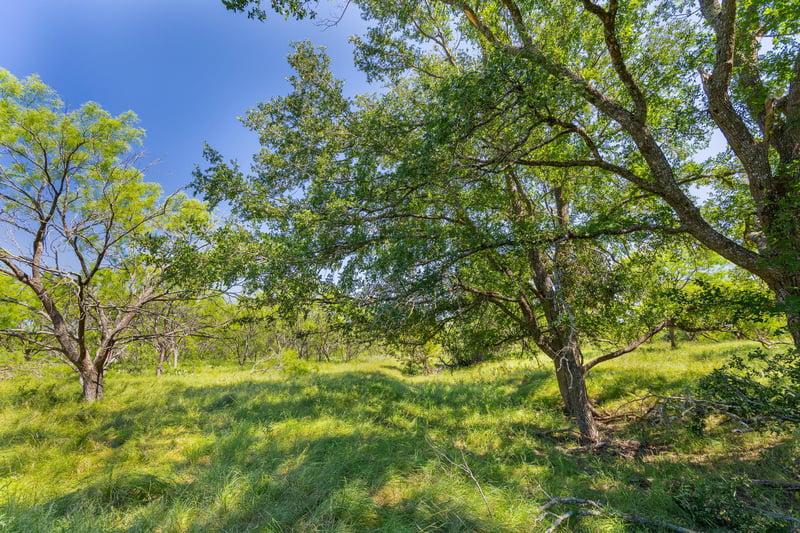 TBD County Road 180 Covered Meadows Ranch RD, Purmela, TX 76566