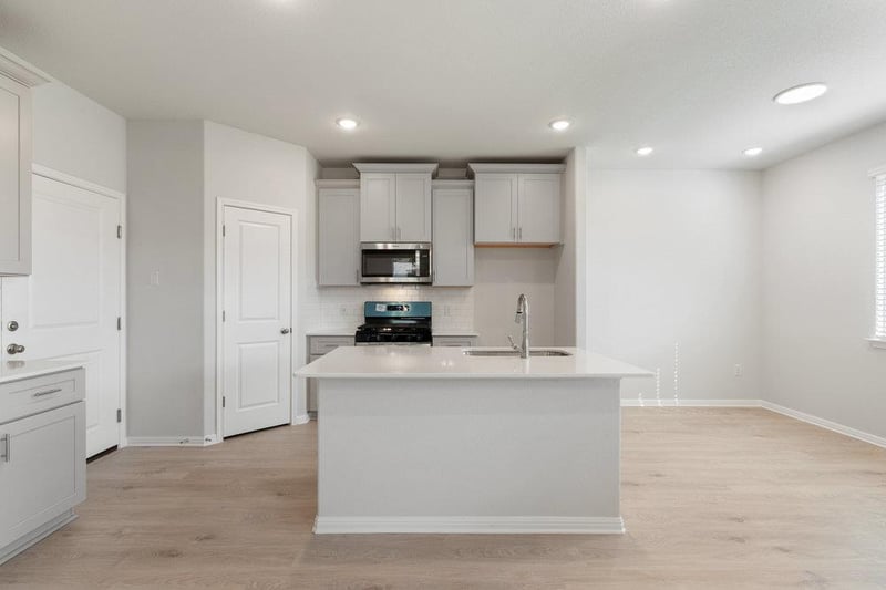295 Young ST, Buda, TX 78610