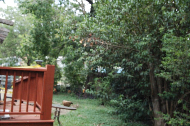 2102 Blue Meadow DR, Austin, TX 78744