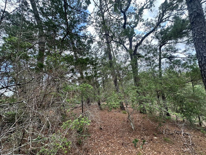 217 Helemano DR, Bastrop, TX 78602