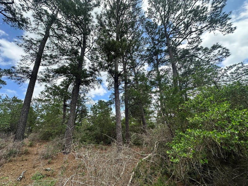 217 Helemano DR, Bastrop, TX 78602