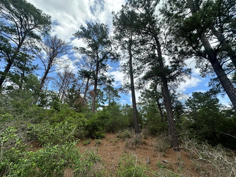 217 Helemano DR, Bastrop, TX 78602