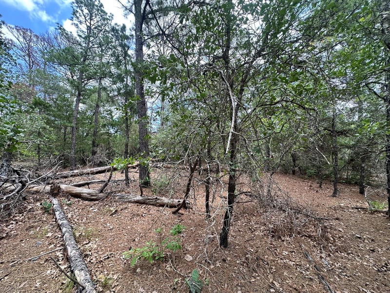 217 Helemano DR, Bastrop, TX 78602