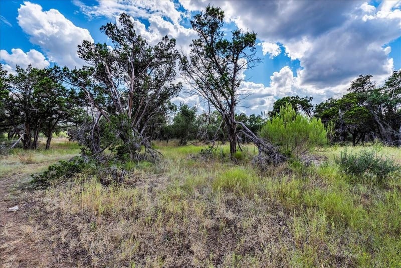 TBD Founders Park RD, Dripping Springs, TX 78620